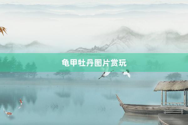 龟甲牡丹图片赏玩