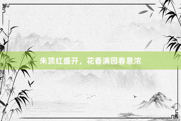 朱顶红盛开，花香满园春意浓