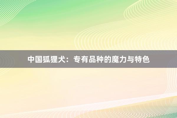 中国狐狸犬：专有品种的魔力与特色