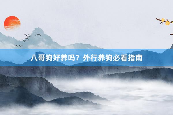 八哥狗好养吗？外行养狗必看指南