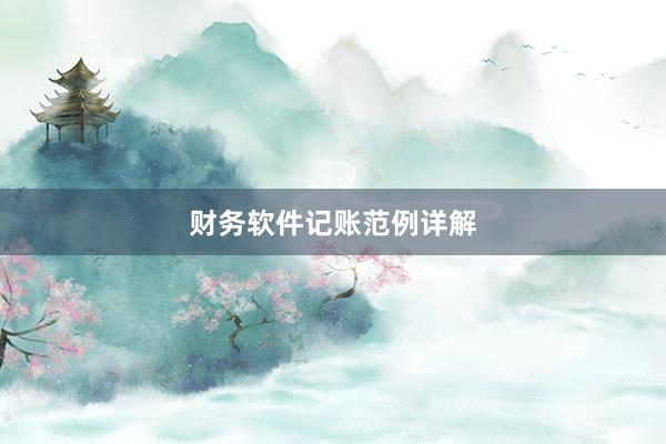 财务软件记账范例详解