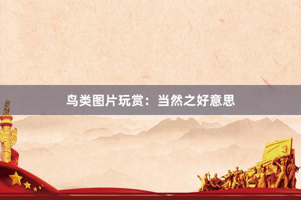 鸟类图片玩赏：当然之好意思